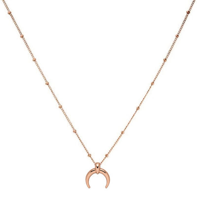 Mavis Hare Stainless Steel Leia Horn Necklace